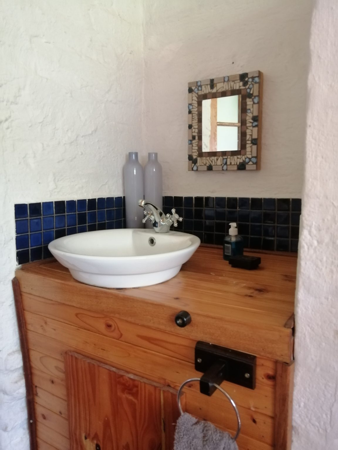 Dream Lodge Magaliesburg Chameleon bathroom