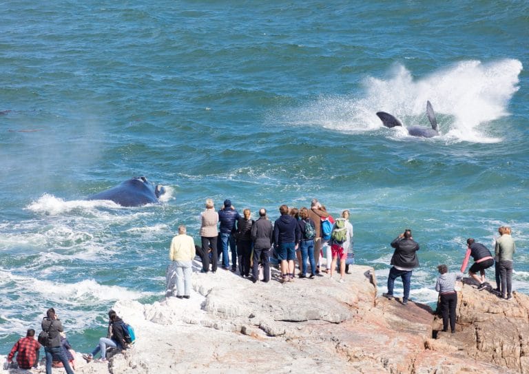 Hermanus