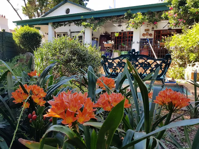 Abigails Bed and Breakfast Garden