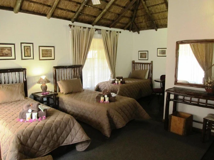 Pure Joy Guest Lodge suite