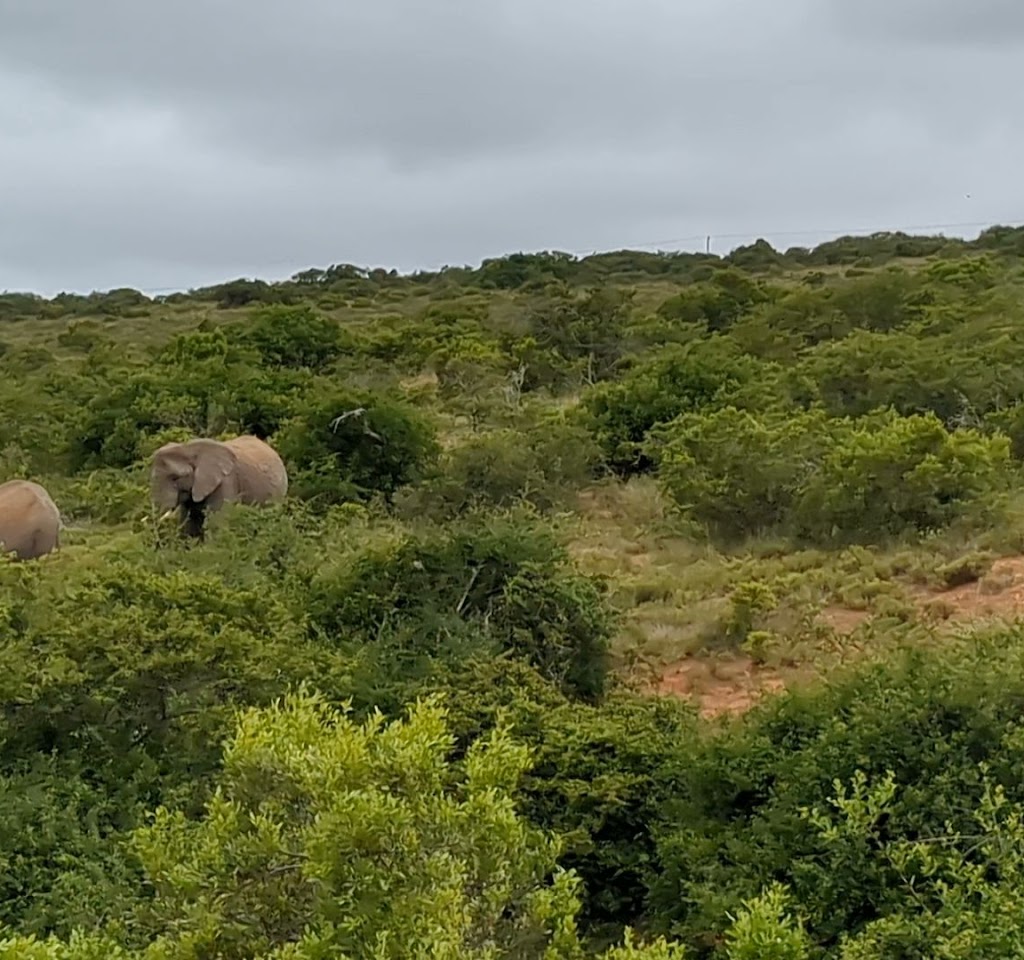 AF1QipNihVsexfyoAfY WrxMGkOYuPGlII4u8qTAcK8Bw1024 h960 p k no