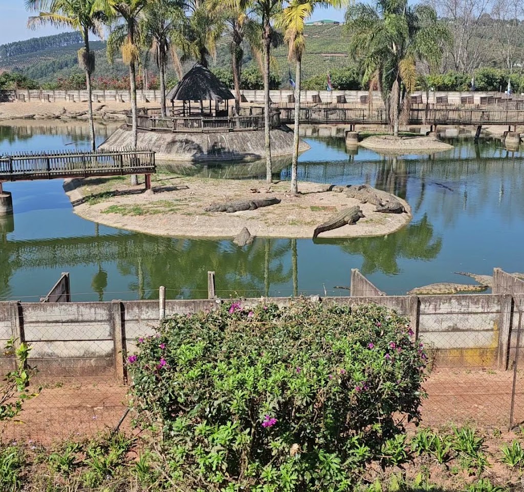 AF1QipPVN1lp TAd U0DcoA2 bvKeKKZdqe9fv2rivUw1024 h960 p k no