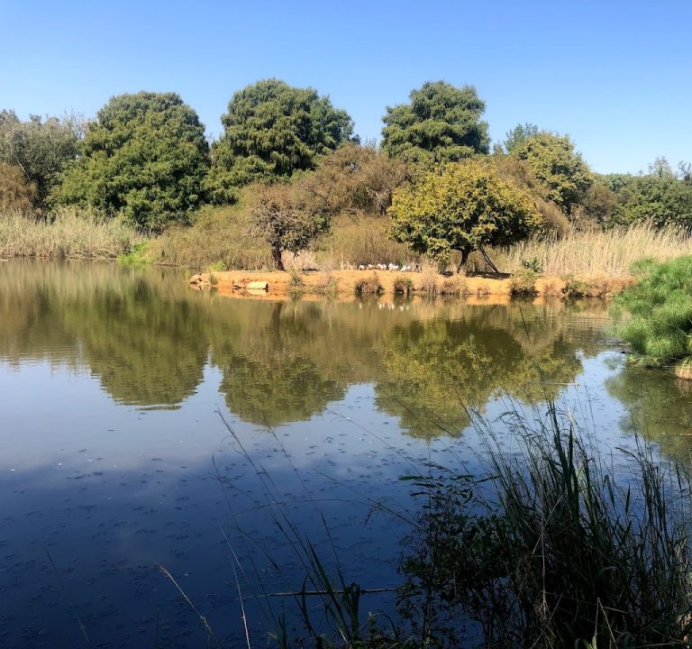 Austin Roberts Bird Sanctuary