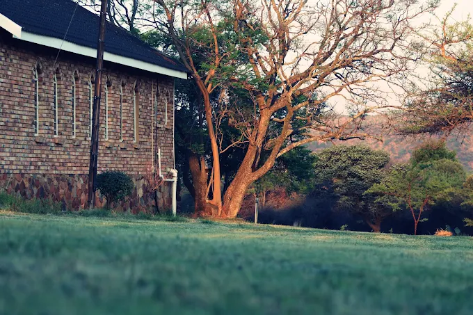 Rising Rocks Farm gardens
