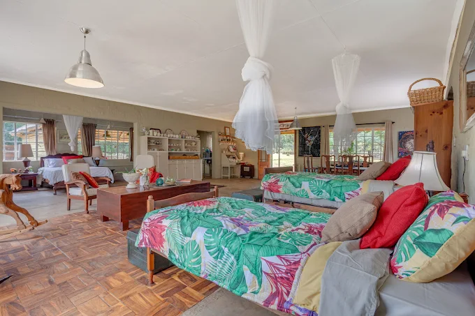 The Lazy Lapa interior