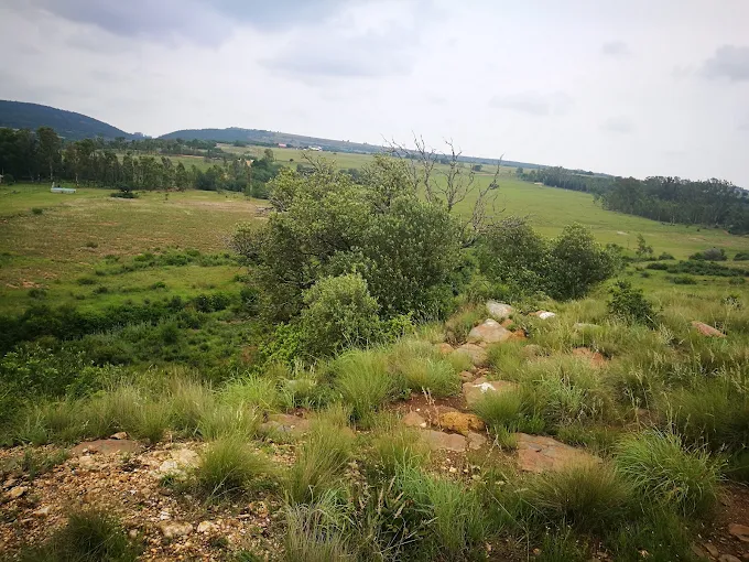 The Rock Campsite view