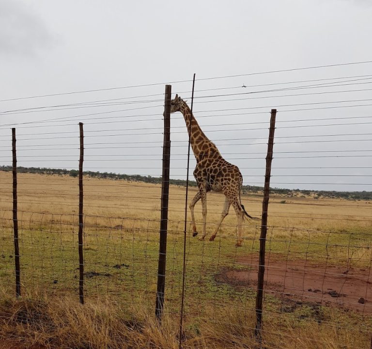 Faan Meintjes Nature Reserve