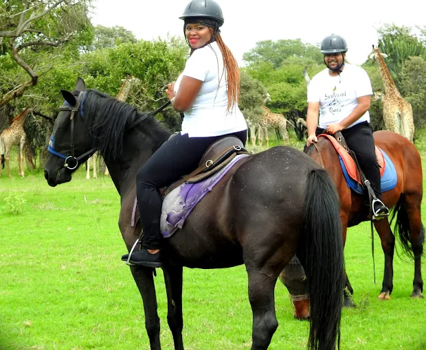 Harties Horse Trail Safaris