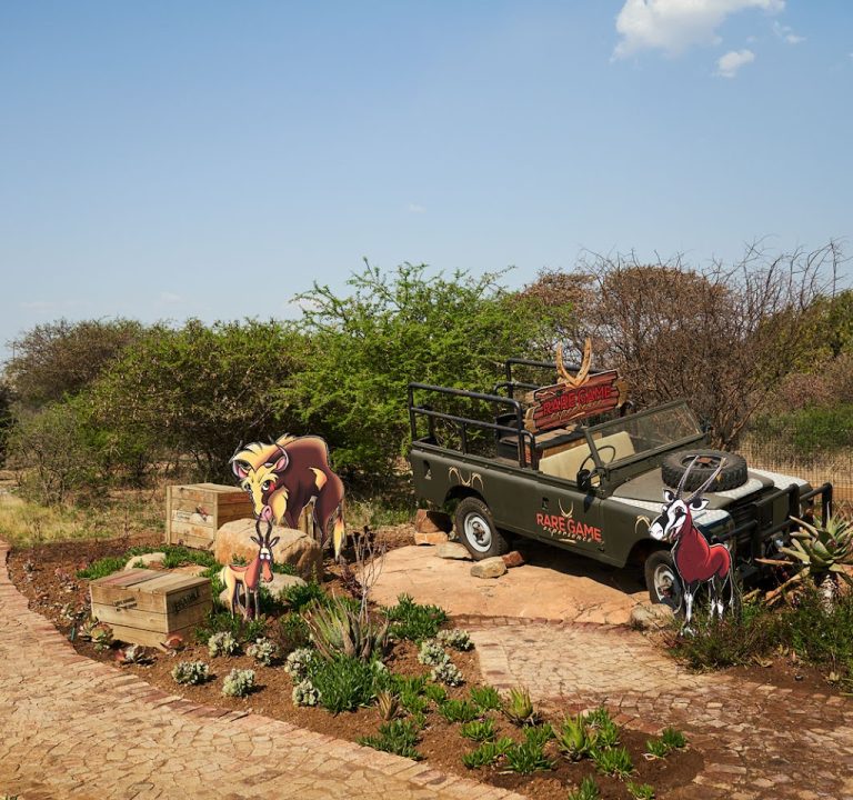 Rare Game Experience