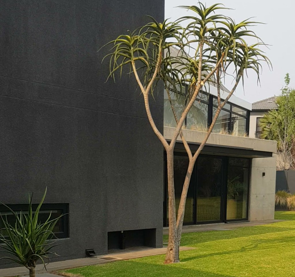 ASKARA HAUS 1 Image 2