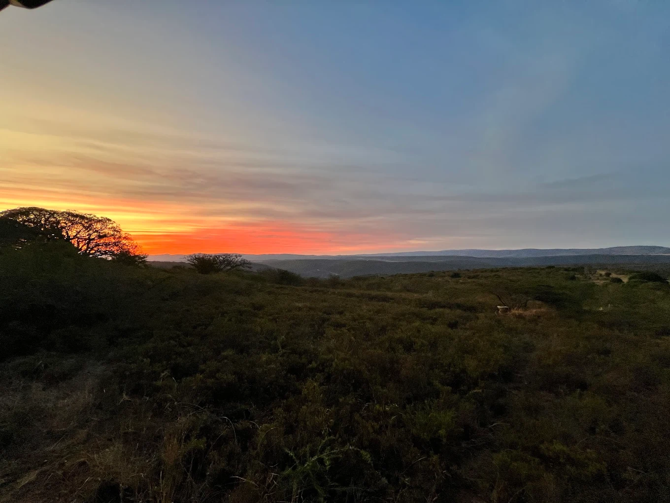 Indigo Crest Indigo Crest