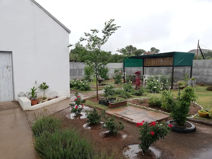 Lavender Rose Lavender Rose