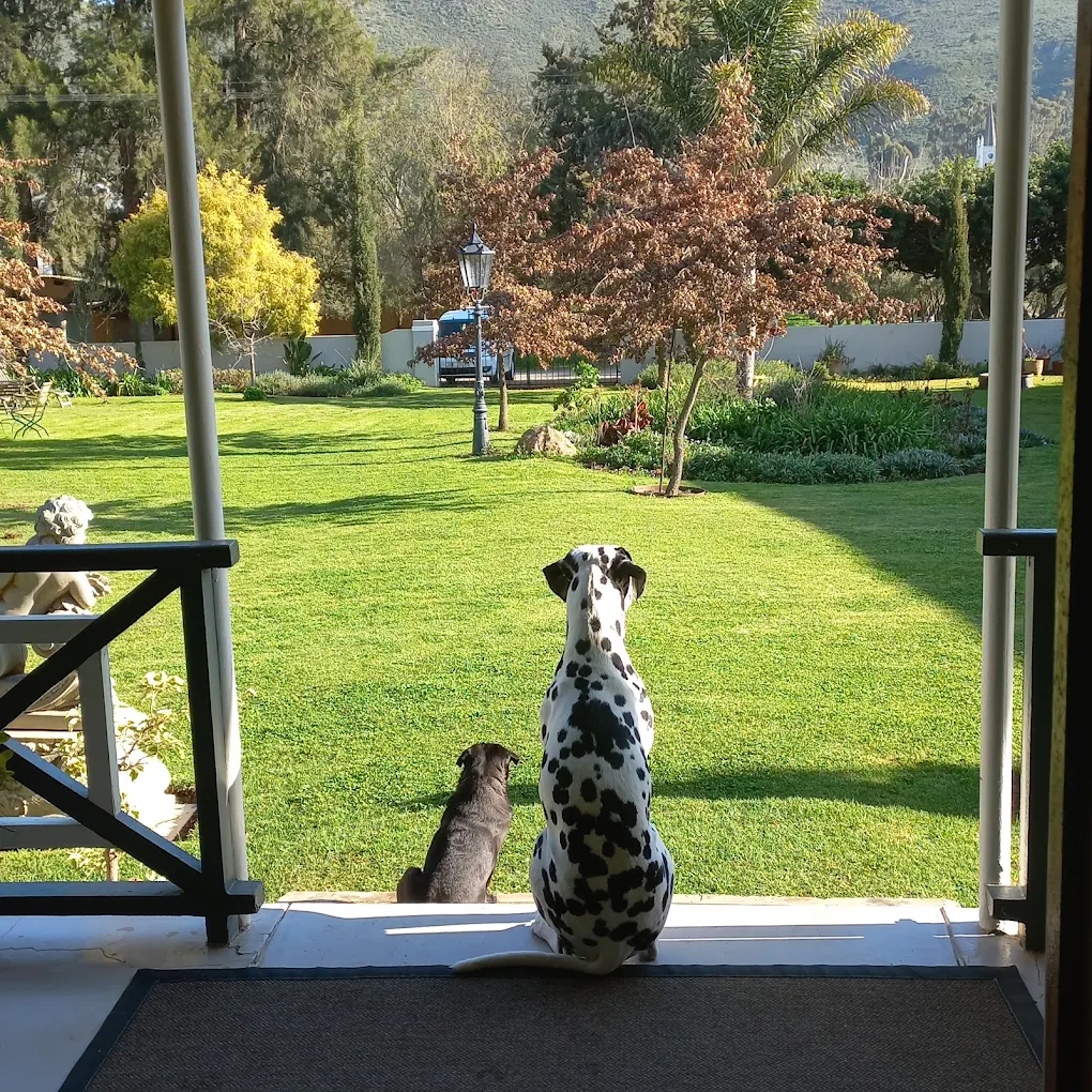 Sorgvry House Of Guests Sorgvry House Of Guests