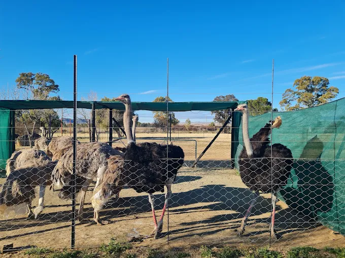 The Bethulie Guest Farm The Bethulie Guest Farm