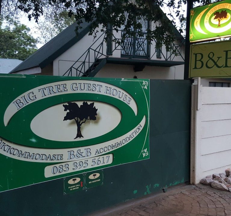 Big Tree Guesthouse & BB