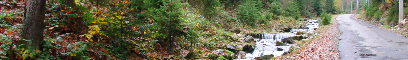 User banner image