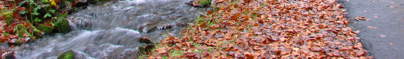 User banner image